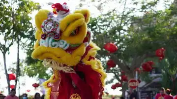 元旦舞狮子黑板报玛琅