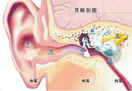 崇明报数字报刊平台