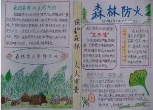 手抄报版面手抄报