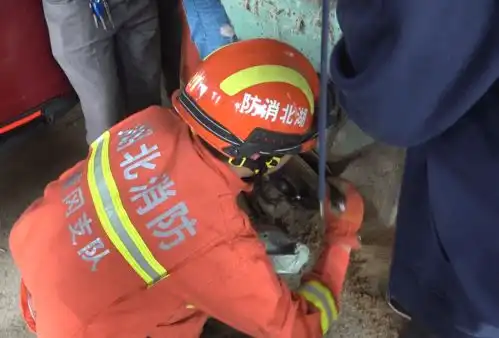 湖北黄冈3岁幼童右手被卷入搅拌机消防紧急救援