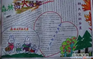 8k纸,边框2㎝,文图文并茂,内容森林防火.安全烟花爆竹的手抄报