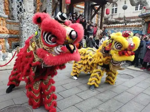 开馆舞狮迎新春瓷房子新年喜提金狮