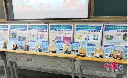 利剑护蕾丨盐津禁毒宣传进校园筑牢校园无毒安全线